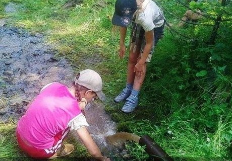 Экологическая экскурсия «Живи, родник, живи»